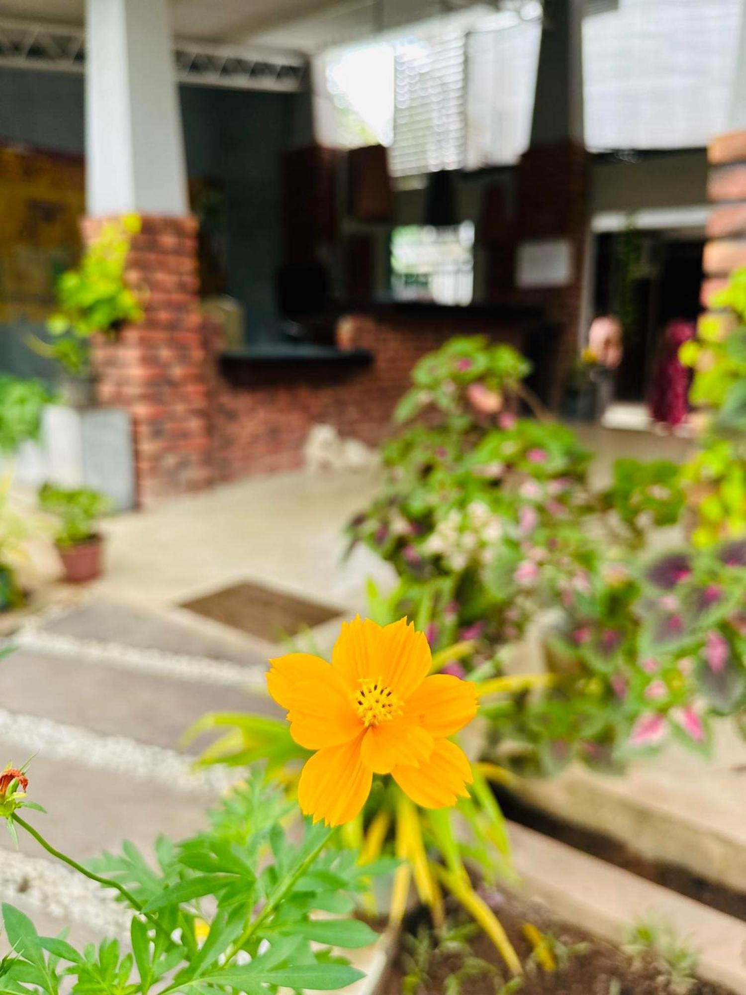 Lanka Bangla Inn Villas Restaurant & Travels Katunayaka Ngoại thất bức ảnh